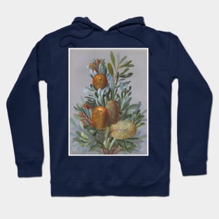 Banksia Australian Wildflower Watercolor Hoodie